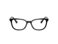 Swarovski Lunettes de Vue SK 2003 1001