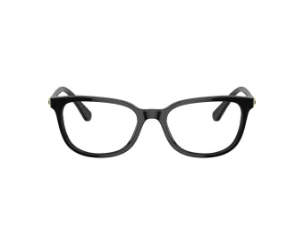 Swarovski Lunettes de Vue SK 2003 1001