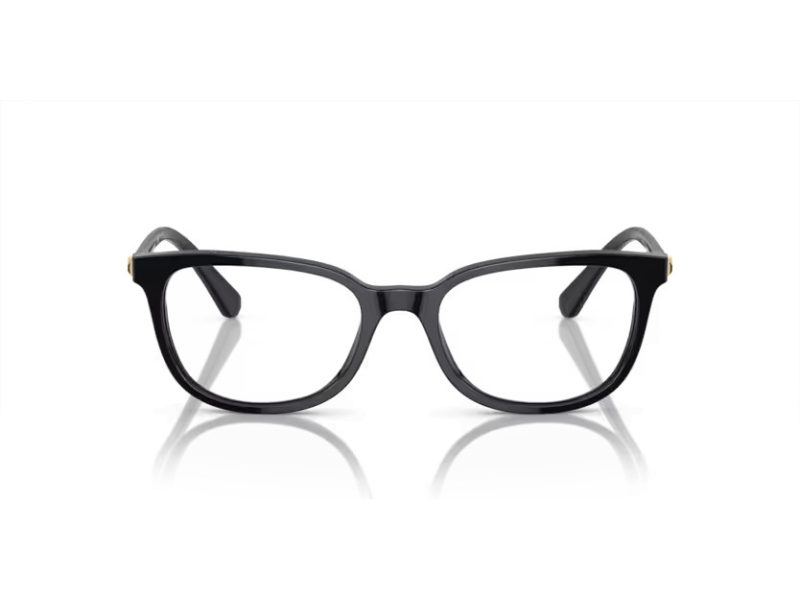 Swarovski Lunettes de Vue SK 2003 1001