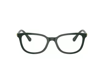 Swarovski Lunettes de Vue SK 2003 1026