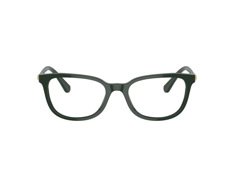 Swarovski Lunettes de Vue SK 2003 1026