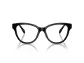 Swarovski Lunettes de Vue SK 2004 1001