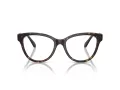 Swarovski Lunettes de Vue SK 2004 1002