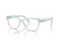 Swarovski Lunettes de Vue SK 2007 1024