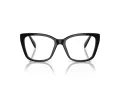 Swarovski Lunettes de Vue SK 2008 1001