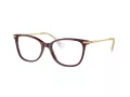 Swarovski Lunettes de Vue SK 2010 1008