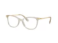 Swarovski Lunettes de Vue SK 2010 3003