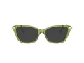Swarovski Lunettes de Vue SK 2011 3002