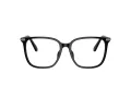Swarovski Lunettes de Vue SK 2016D 1001