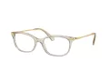 Swarovski Lunettes de Vue SK 2017 3003