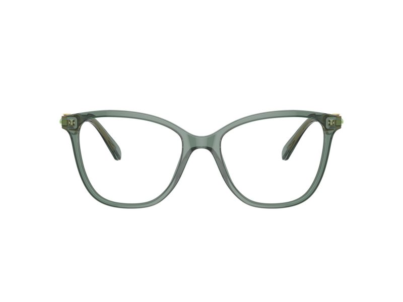 Swarovski Lunettes de Vue SK 2020 1043