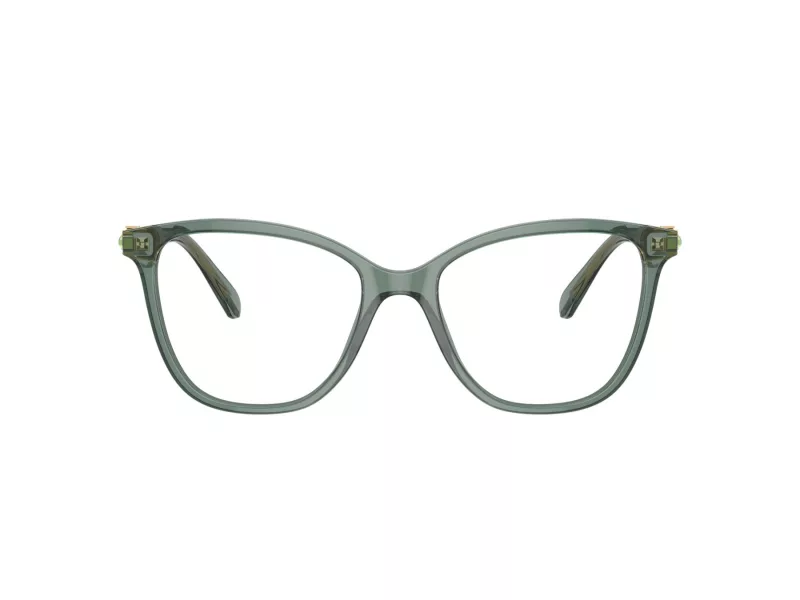 Swarovski Lunettes de Vue SK 2020 1043
