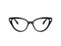 Swarovski Lunettes de Vue SK 2028 1001
