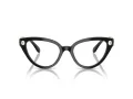 Swarovski Lunettes de Vue SK 2028 1001