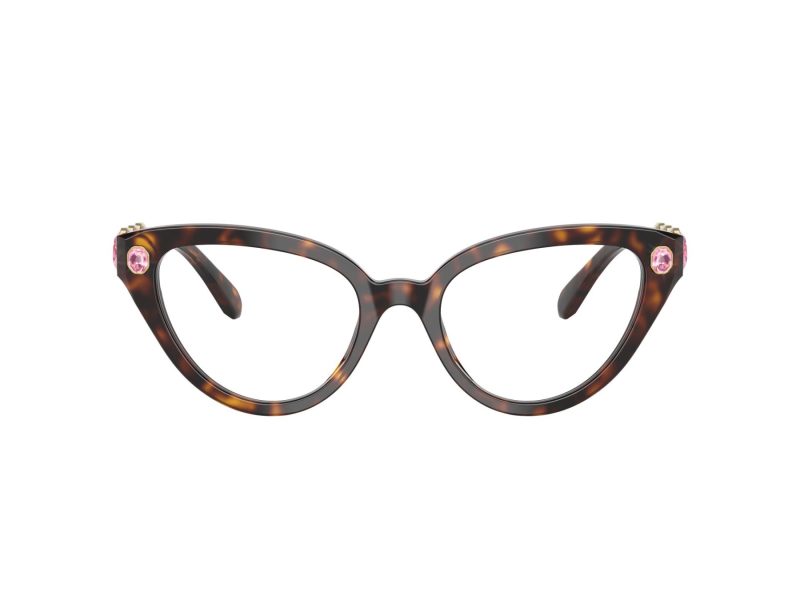 Swarovski Lunettes de Vue SK 2028 1002