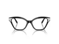 Swarovski Lunettes de Vue SK 2029 1001