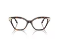 Swarovski Lunettes de Vue SK 2029 1002