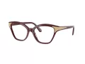 Swarovski Lunettes de Vue SK 2029 1008