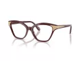 Swarovski Lunettes de Vue SK 2029 1008