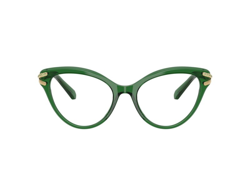 Swarovski Lunettes de Vue SK 2030 1064