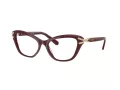 Swarovski Lunettes de Vue SK 2031 1008