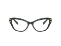 Swarovski Lunettes de Vue SK 2031 1026