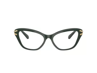 Swarovski Lunettes de Vue SK 2031 1026