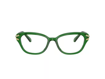 Swarovski Lunettes de Vue SK 2032 1064