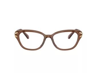 Swarovski Lunettes de Vue SK 2032 1067