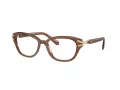 Swarovski Lunettes de Vue SK 2032 1067