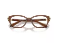 Swarovski Lunettes de Vue SK 2032 1067