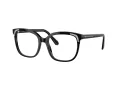 Swarovski Lunettes de Vue SK 2033 1001