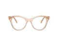 Swarovski Lunettes de Vue SK 2036 1063