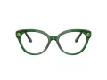 Swarovski Lunettes de Vue SK 2037 1064
