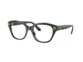 Swarovski Lunettes de Vue SK 2038 1026