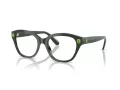 Swarovski Lunettes de Vue SK 2038 1026