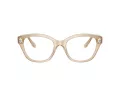 Swarovski Lunettes de Vue SK 2038 1034