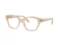 Swarovski Lunettes de Vue SK 2038 1034