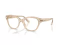 Swarovski Lunettes de Vue SK 2038 1034