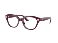 Swarovski Lunettes de Vue SK 2038 1044