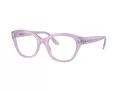 Swarovski Lunettes de Vue SK 2038 1075