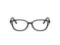 Swarovski Lunettes de Vue SK 2040D 1001