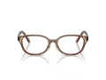 Swarovski Lunettes de Vue SK 2040D 1067