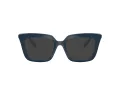 Swarovski Lunettes de Vue SK 2043 1004