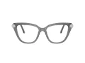 Swarovski Lunettes de Vue SK 2045 1072