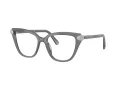 Swarovski Lunettes de Vue SK 2045 1072