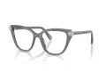 Swarovski Lunettes de Vue SK 2045 1072