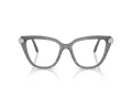 Swarovski Lunettes de Vue SK 2045 1072