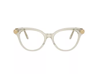 Swarovski Lunettes de Vue SK 2046 3003