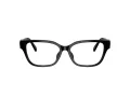 Swarovski Lunettes de Vue SK 2049D 1001